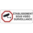 Autocollant sticker établissement video surveillance alarme panneau-0