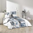 260 x 240 CM IMPRIME 42 FILS ALLOVER SUEDOISE PARURE 3 P