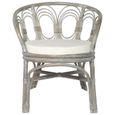 Chaise de salle à manger avec coussin-Chaises de cuisine - 72 x 68 x 76 cm - gris - Rotin naturel et lin CEN-7016694041352-0