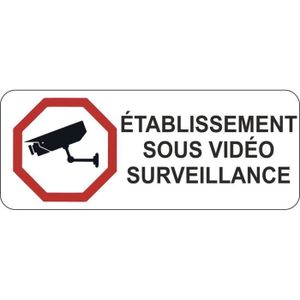 DÉCORATION VÉHICULE Autocollant sticker établissement video surveillan