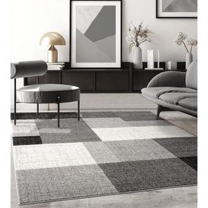 TAPIS Tapis de salon ou de chambre en moderne design | Motifs géométriques - Carreaux - Gris 160x220 | Intérieur - The Carpet PEARL