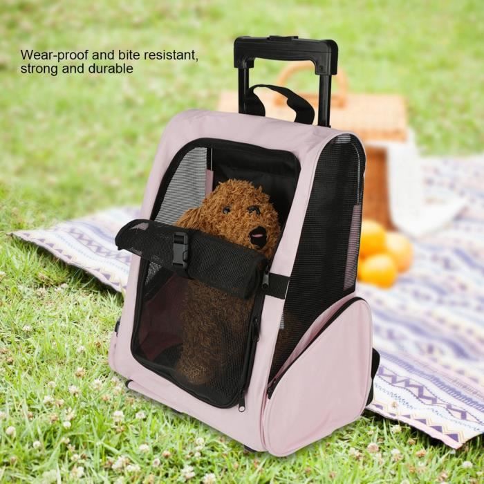 Sac de transport portable pour animaux de compagnie Sac à dos à roulettes Sac à dos pour chien de chat transportant -CYA