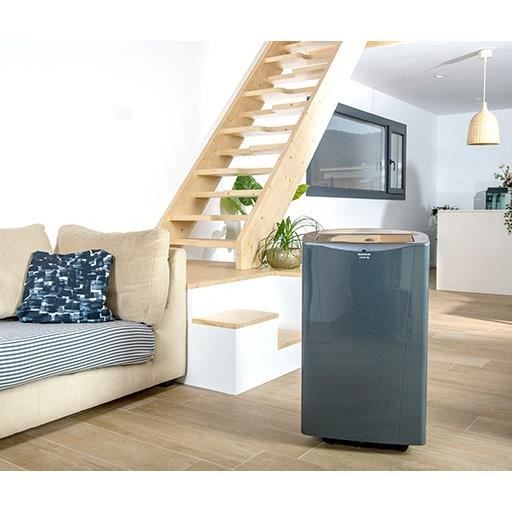 Climatiseur mobile réversible avec fonction déshumidificateur et — free download