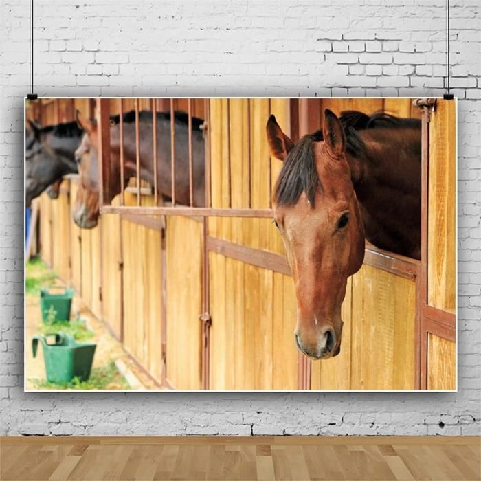 Exposition : Les chevaux de Géricault - ABC du Cheval