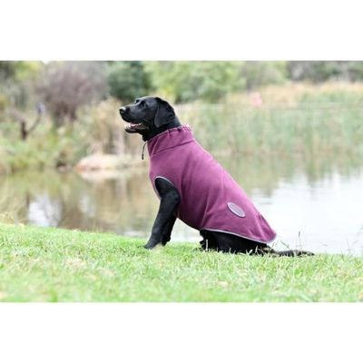 Manteau chien weatherbeeta best sale