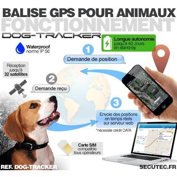 Collier avec Balise GPS temps réel sans abonnement pour animaux