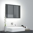 Nouveauté!Armoire à Miroir Décoratif - Miroir Attrayante salon de bain à LED Gris brillant 60x12x45 cm325-0