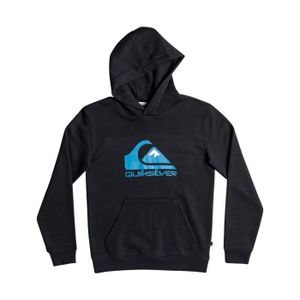 Sweat best sale quiksilver junior