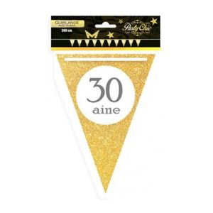 Fanion Géant BSG Acier 30 Ans - Pennant Supporter Football - Occasion