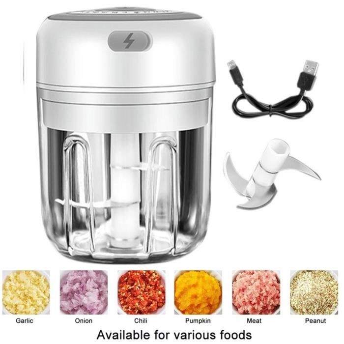 SURENHAP - MINI HACHOIR ÉLECTRIQUE 250ML Moulin à légumes électrique sans fil - Rithok -1a5dsfg