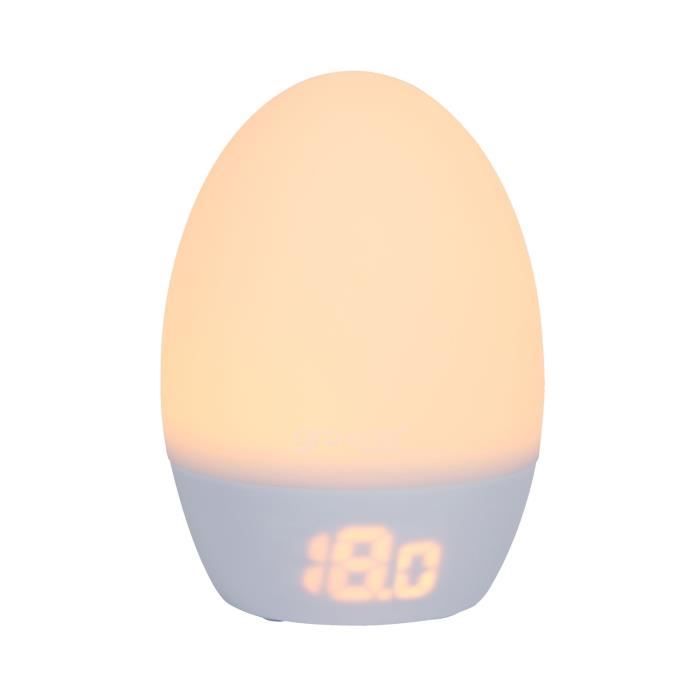 TOMMEE TIPPEE Thermomètre numérique Groegg USB