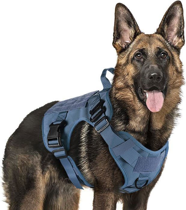 Harnais Tactique pour Chien XL Bleu Rabbitgoo