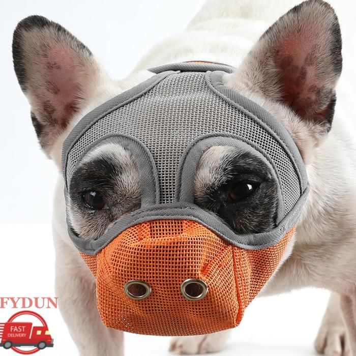 Meilleurs prix pour FYDUN Museau de maille Muselière en maille respirante pour chien à museau court empêche les animalerie Orange Gris Orange Grand
