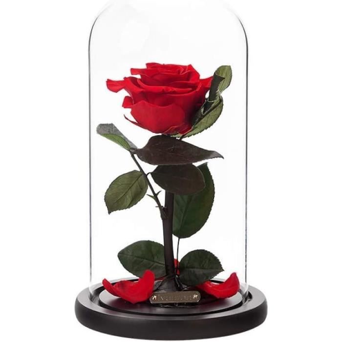 la belle et la bête rose en dessin sur verre