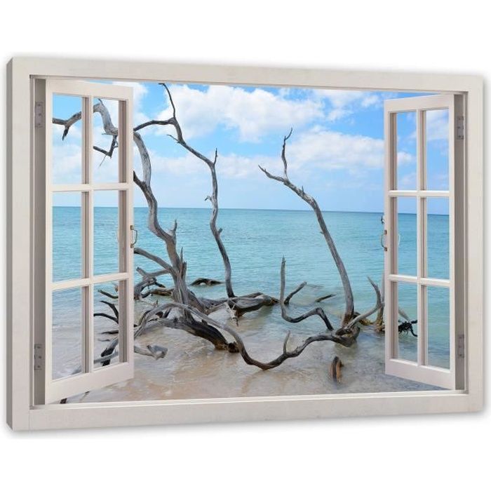 Plage avec du bois flotté à Cuba, Fenêtre image Toile | Taille: 120x80 cm |  Peinture murale | Copie d'art FO_LF1019_120x80 - Achat / Vente tableau -  toile - Cdiscount
