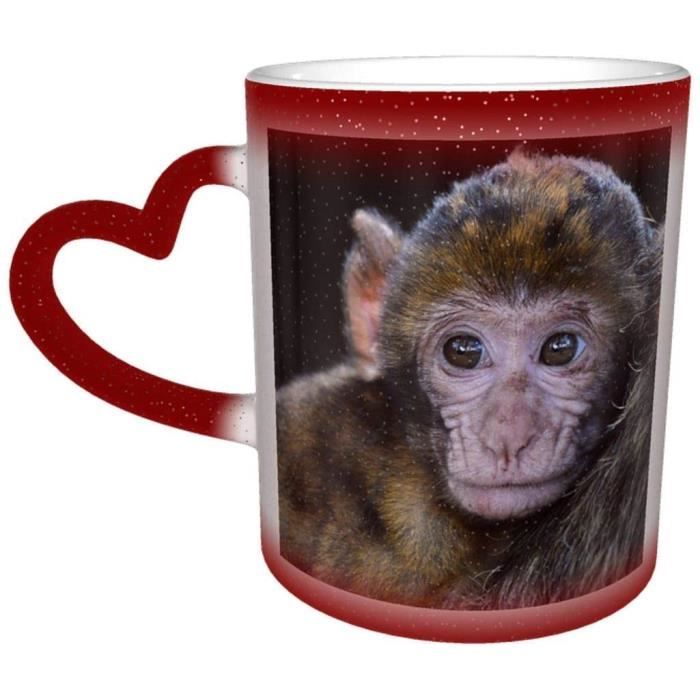 Singe Bebe Barbary Macaque Look Tete Magot Couleur Changeante Tasse Dans Le Ciel Tasse En Ceramique Tasse A Cafe 330 Ml 118 Cdiscount Puericulture Eveil Bebe Singe Bebe Barbary Macaque Look Tete Magot Couleur Changeante Tasse Dans Le Ciel Tasse En Ceramique Tasse A Cafe 330 Ml 118 Cdiscount Puericulture Eveil Bebe
