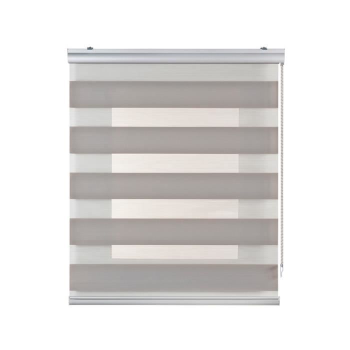 Store Enrouleur Jour Nuit Sans Perçage WOLTU - Double Tissu Zébré Translucide Occultant 60x120 Cm, Gris Foncé, Montage Facile Clips