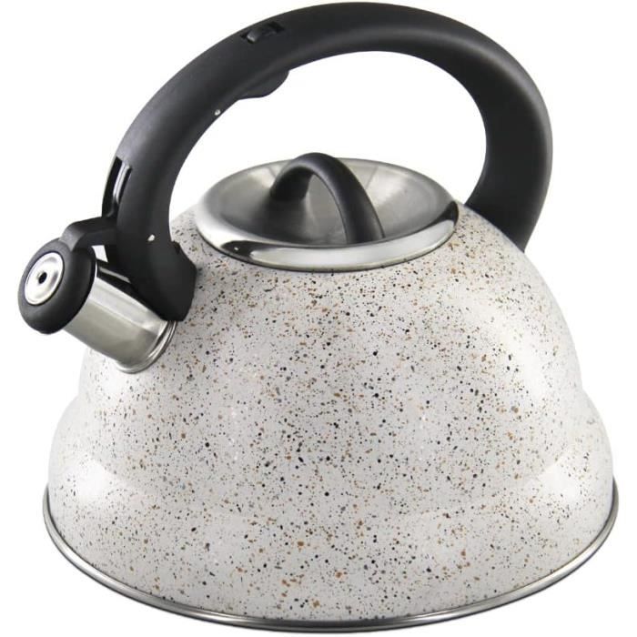 Bouilloire inox à col de cygne compatible gaz, induction, céramique pour  préparer thé et cafés : : Cuisine et Maison