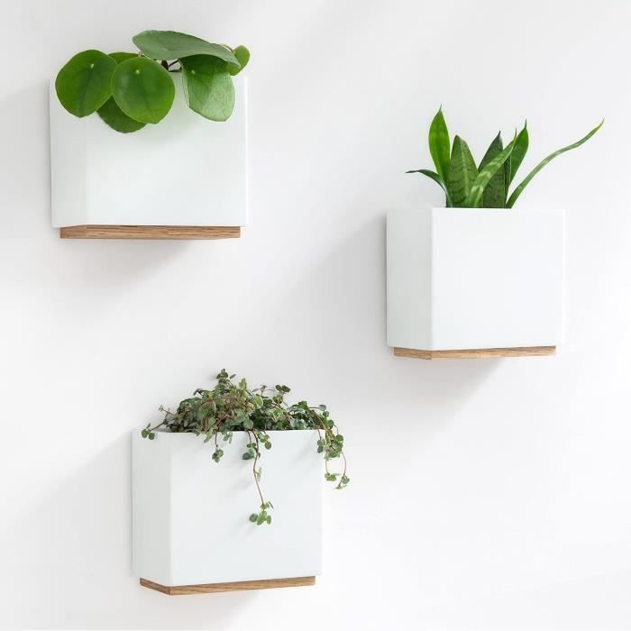 Jardinières Murales En Bois Pin - Lot De 1, 3 Ou 4, Dimensions 30x7x4 Cm, Sans Plantes, Pour Décoration Intérieure - 8