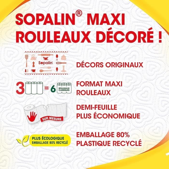 SOPALIN ESSUIE-TOUT SUR MESURE 3 MAXI = 6 ROULEAUX, 3 MAXI-ROULEAUX -  Cdiscount Au quotidien