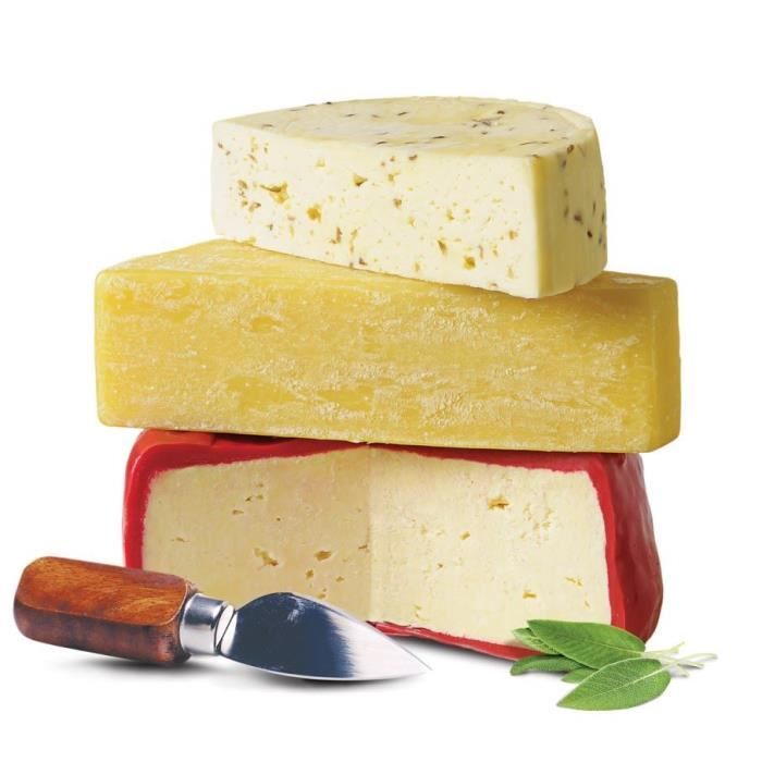 Kit pour faire des fromages maison