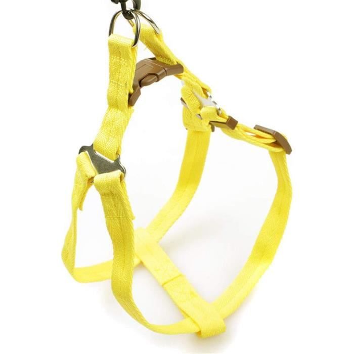 Ceinture Chien Voiture - Harnais Voiture Pour Chien - Ceinture De Sécurité Pour Chien Noir