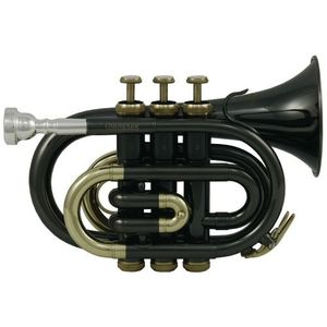 TROMPETTE Trompette d'Études Sib PT-101K