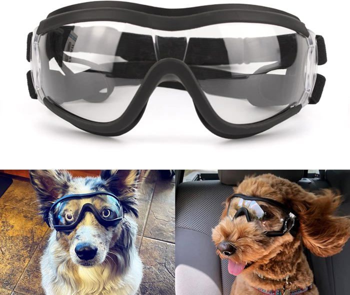 Meilleurs prix pour Lunettes de protection pour chiens sangle rglable faciles mettre transparentes Outillage > Equipement de prot