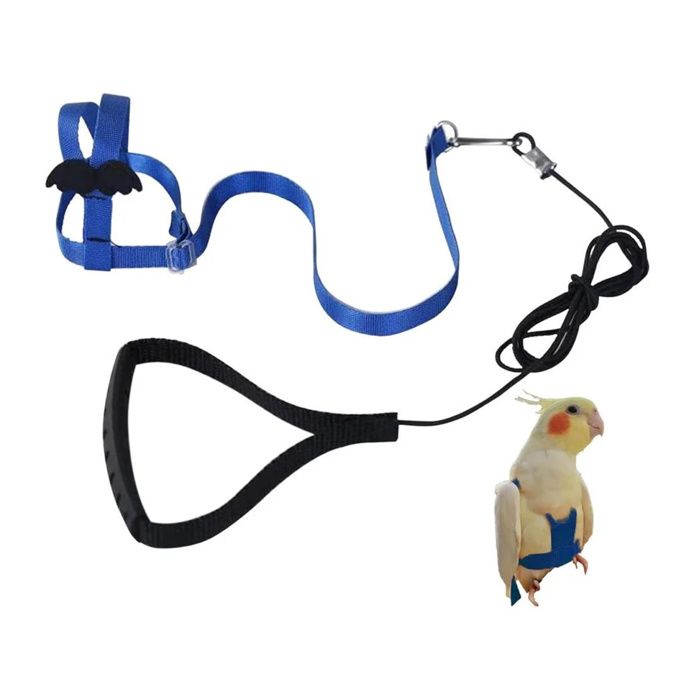 Meilleurs prix pour Harnais Réglable pour Perroquet – Laisse Élastique Anti-Morsure pour Oiseaux et Aras