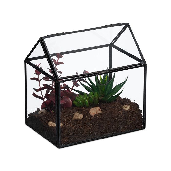Comparer les prix de Relaxdays Terrarium pour vos plantes décoratif et pratique pour le rebord de la fenêtre 16 x 16 x 115 cm noir