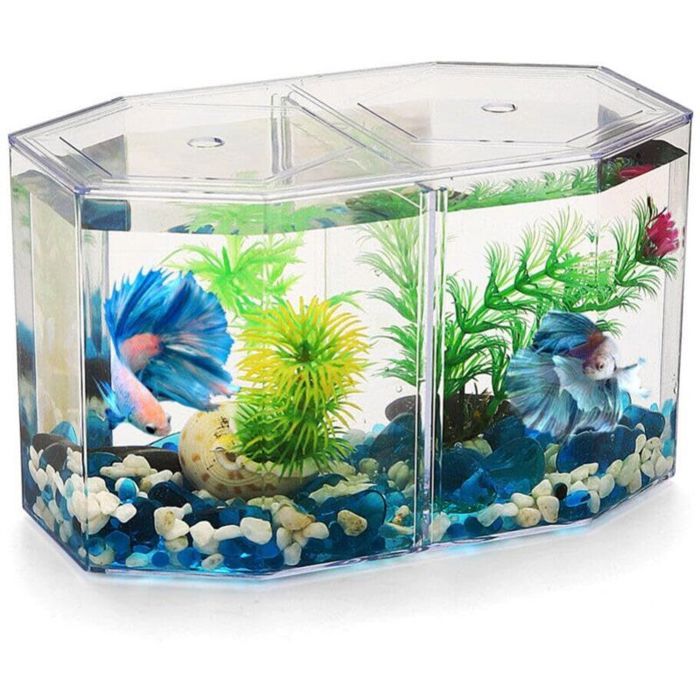 Aquarium de bureau miniature - MHY® - Cloison amovible - Acrylique transparent - Résistant aux chocs