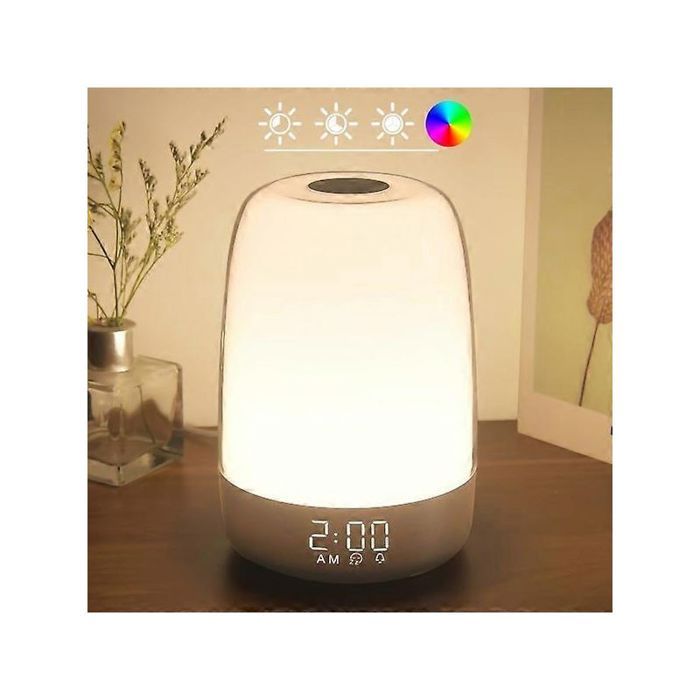 Veilleuse tactile lampe de chevet à lumière blanche chaude réglable sur trois niveaux éclairage RGB mode minuterie.