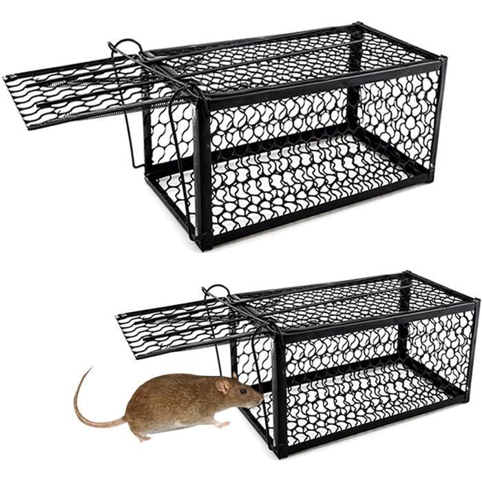 HURRISE attrape-souris, Cage de capture de souris continue automatique  réutilisable pour piège à souris pour entrept de restaurant de centre  commercial, Cage de piège à souris 