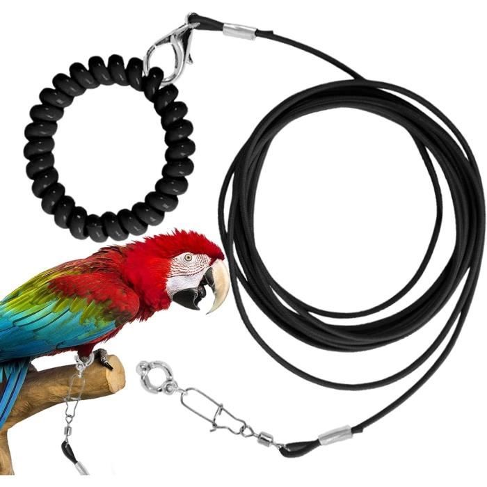 Corde volante pour oiseaux - Chaîne de pied doiseau - Jouet dentraînement - Extérieur