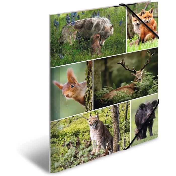 Kit De Couture Marionnettes Animaux De La Forêt Baker Ross – Lot 4 Modèles (blaireau, Hérisson, Chouette, Renard), Feutre 19cm, Activité Manuelle Enfant
