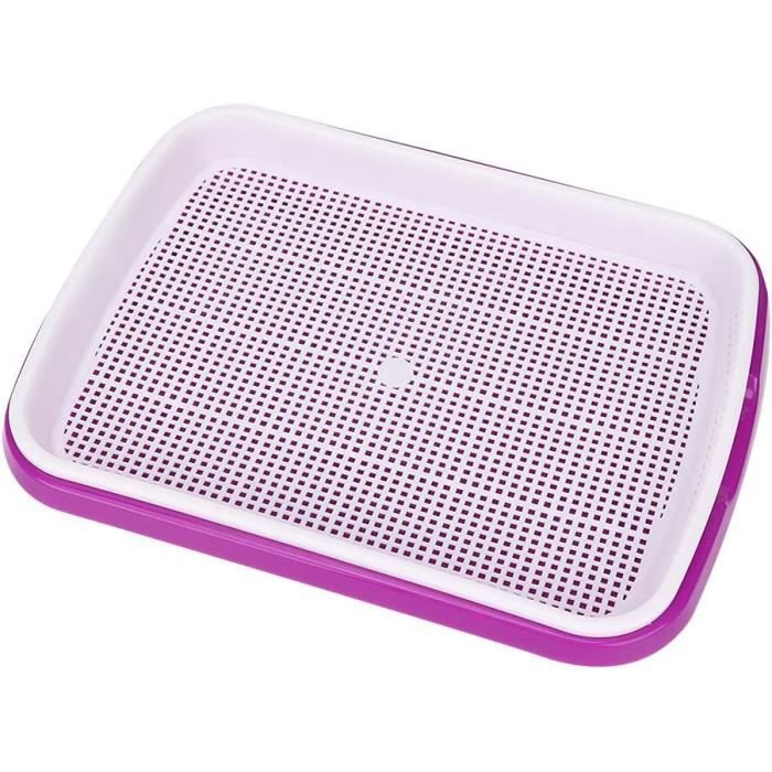 Plateau De Croissance Sélectif Mini Cell Germination Légumes Plateau De Croissance Forte Pour Transplantation. Écarteur De Diffusion D'Enracinement De Pommes De Terre D'Automne à Main