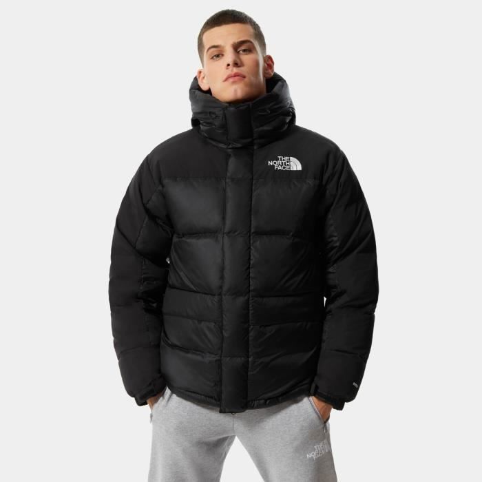 the north face parka gris