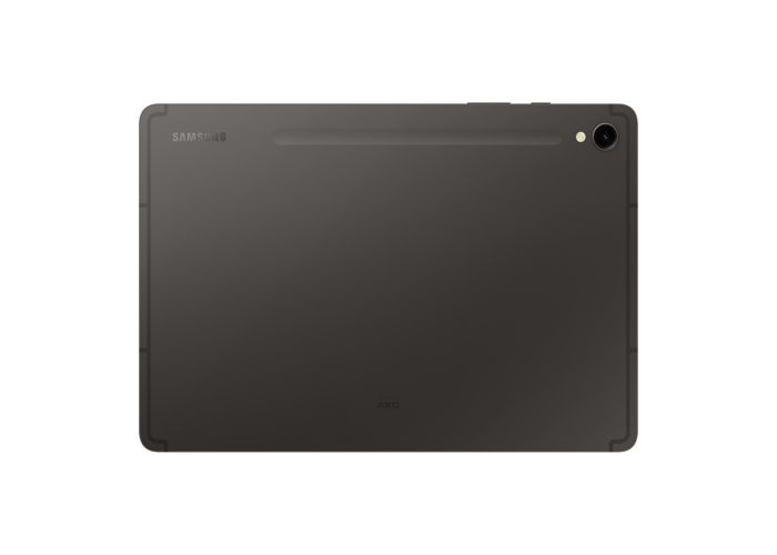 Tablette - SAMSUNG - Galaxy Tab S9 - 12 Go RAM - 256 Go Stockage - 5G - AMOLED 11 pouces