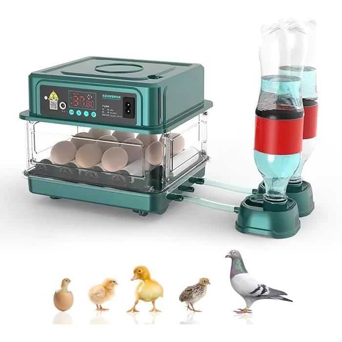 Incubateur Automatique Pour œufs 10-36 œufs - Retournement Auto, Contrôle Humidité/température, Mire Intégrée - 11