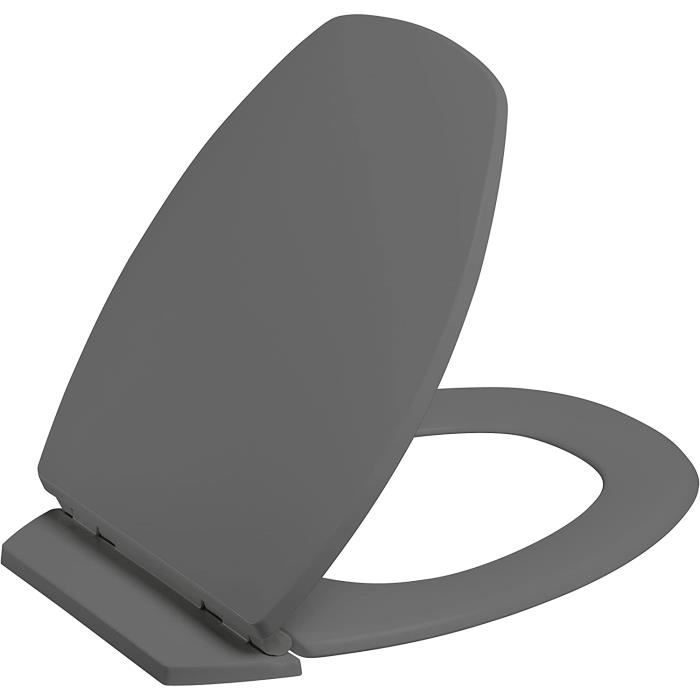 ALLIBERT 819881 Baccara 2 Abattant WC, Gris Anthracite Brillant, 36.7cm ...