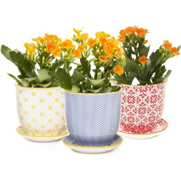 Sitemapcdatahttpssalymixel Thicoipeinfolidl Pot De Fleurnull