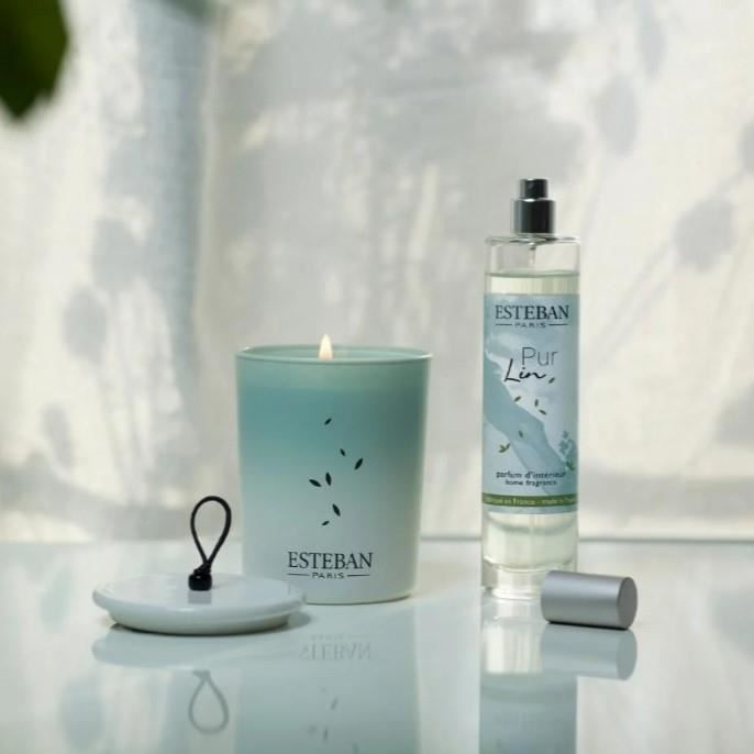 Esteban - Bouquet parfumé Ellipse Cèdre 500 ml