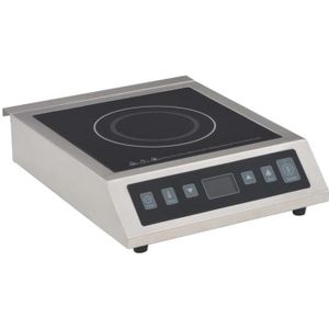 Plaque Induction Professionnelle Achat Vente Pas Cher