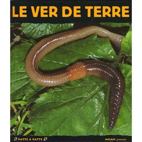 Le Ver De Terre Achat Vente Livre Editions Milan Parution 13 05 2005 Pas Cher Cdiscount