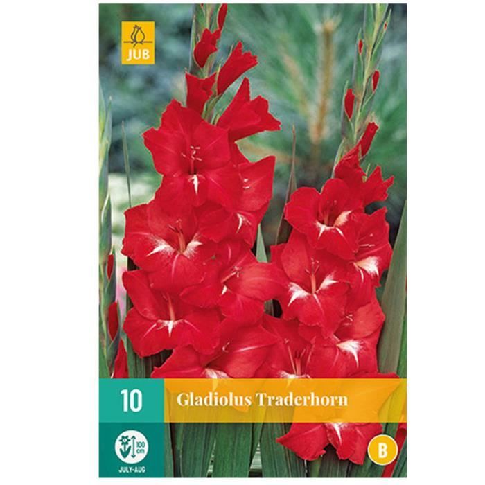 10 GLAÏEULS TRADERHORN