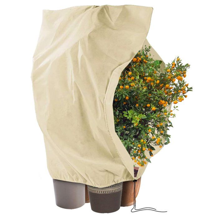 Voile D'hivernage Pour Plantes Extérieures - Lot De 4 Housses 150x45x40 Cm - 80 G/m² Avec Cordon De Serrage