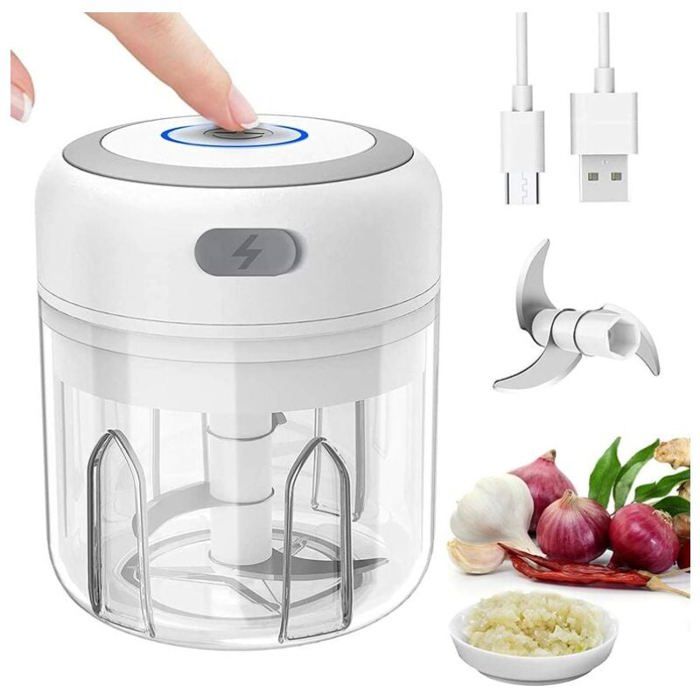 Mini mixeur hachoir électrique petit mixeur presse-ail hachoir à légumes hachoir à oignons et à ail hachoir multifonction pour - Ryttgop