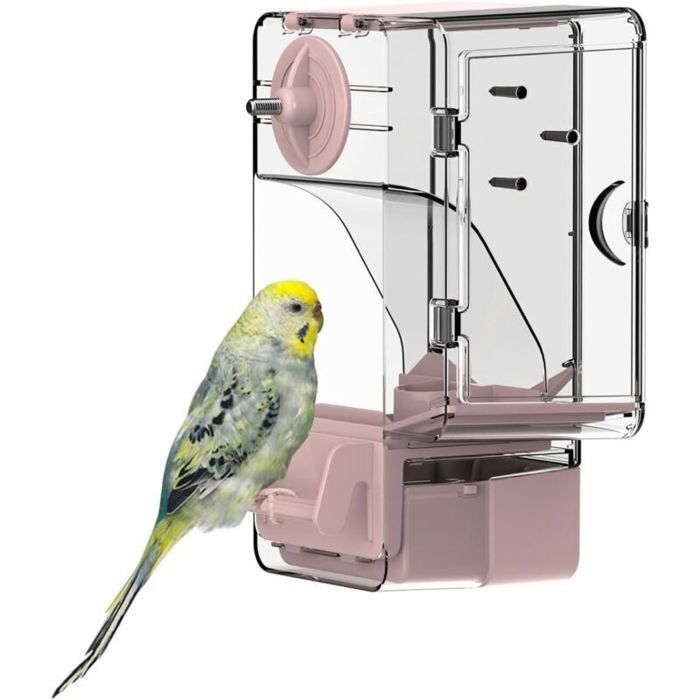 Mangeoire Automatique pour Oiseaux mangeoire à Cage à Oiseaux avec perchoir Support Multifonctionnel pour Fruits et légumes pour