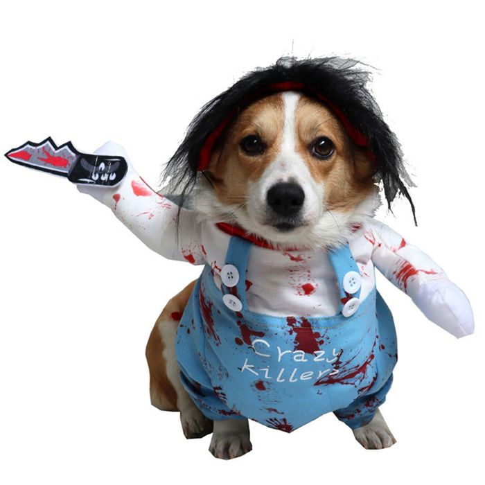 Costume d’Halloween pour chien déguisement fantaisiste - Vantory - tenue de transformation avec perruque noire et accessoire tailleS