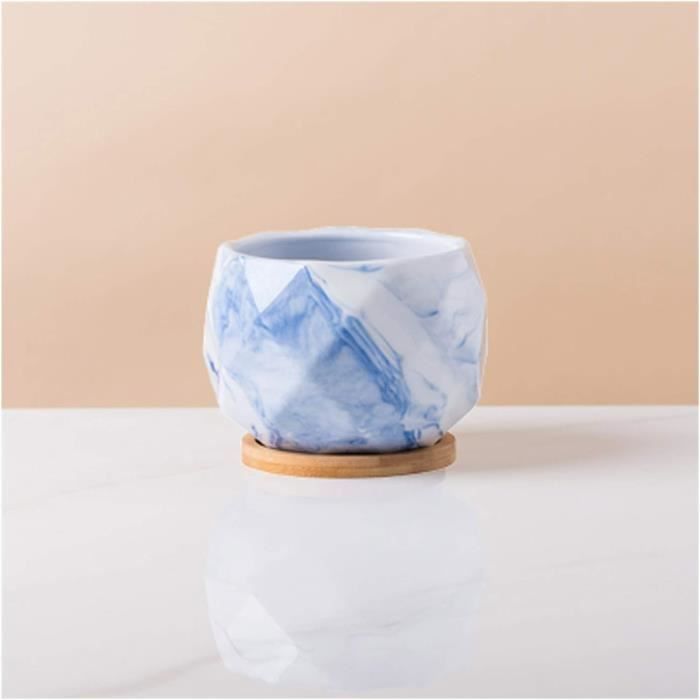 Pot De Fleur Planteurs De Tête De Jardin Pots De Succulentes Décorations Pour Les Salas De Casa